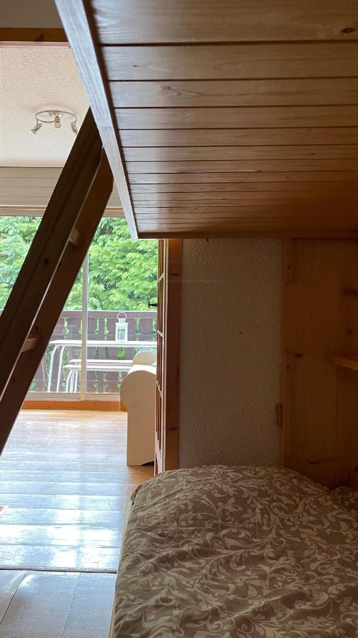 Cosy Studio On The Slopes And Centre Of Chamonix Exteriér fotografie