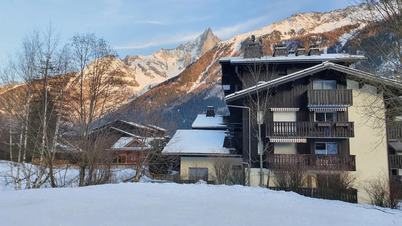 Cosy Studio On The Slopes And Centre Of Chamonix Exteriér fotografie
