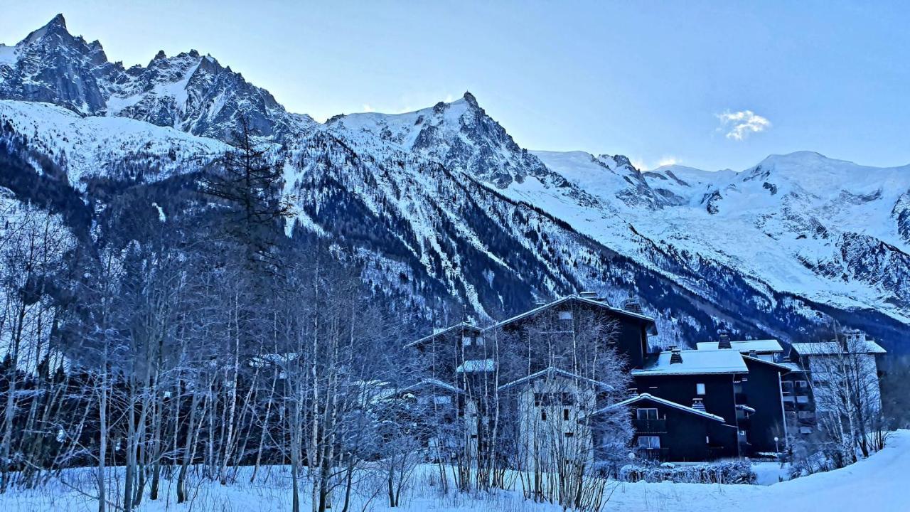 Cosy Studio On The Slopes And Centre Of Chamonix Exteriér fotografie